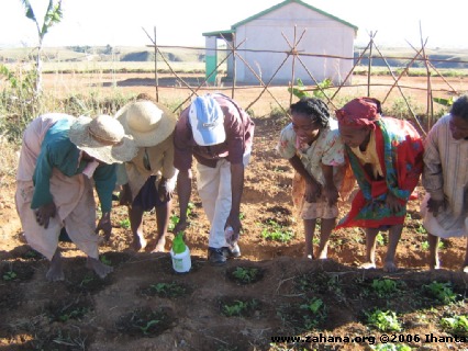 Planting lesson from agricultural teacher