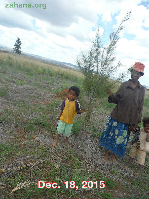 Little boy Planting a tree in Madagascar Reforstation 2015