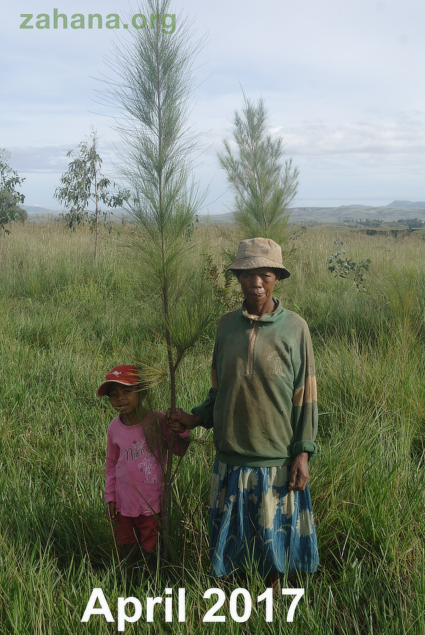 Little boy Planting a tree in Madagascar Reforstation 2017