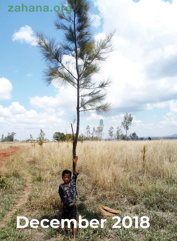 Little boy Planting a tree in Madagascar Reforstation 2018