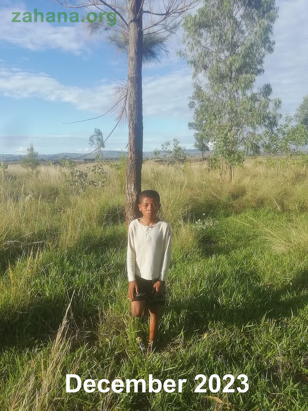 Boy and tree grw up in Madagascar