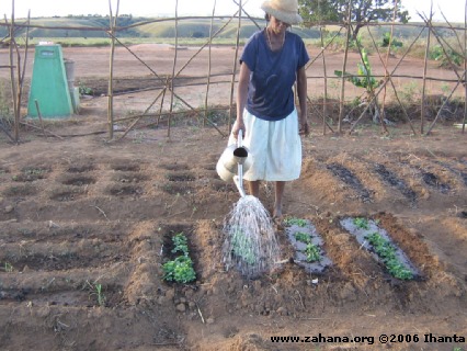 Woman watering plants, green communal water faucet in the background