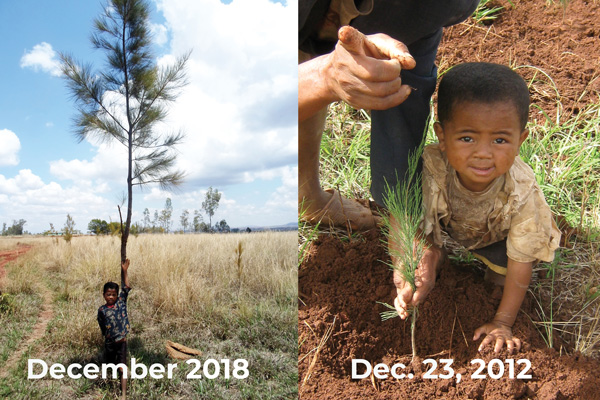 Reforestation by zahana from 2013 to 2018