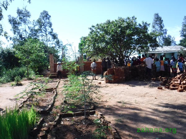 Moringa in Zahanas school garden in Madagascar