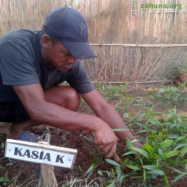 Our new gardener in Madagascar