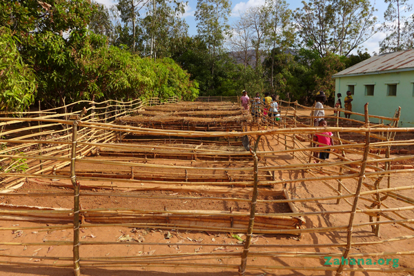 The new tree nursery in our school in madagascar