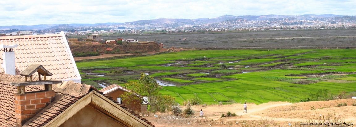 rice paddy in Antananarivo the capital of madagascar