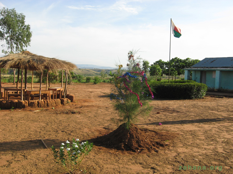 xmas tree in Faidanana madagasacr zahana.org