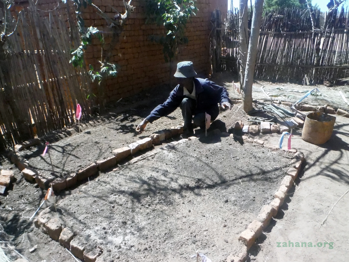 Planting Moringa seeds in Madagascar