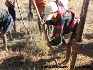 planting trees in Madagascar