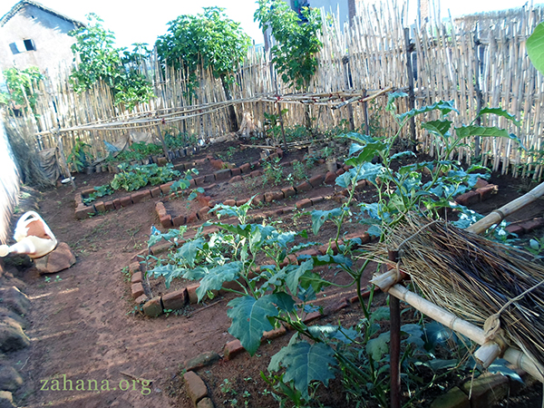 vegetable garden Zahana