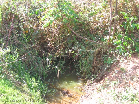 water hole abandoned